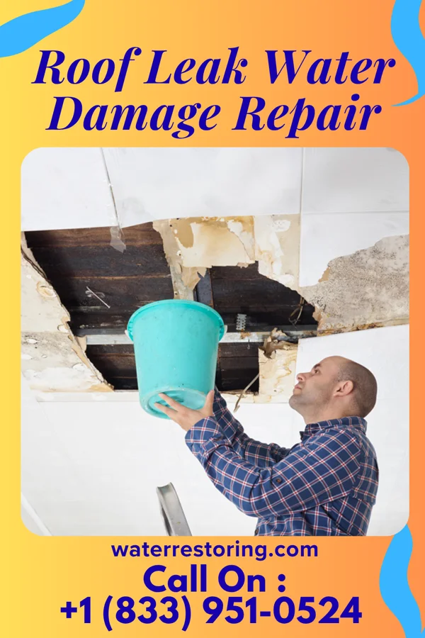 Roof Leak Water Damage Repair in Springtown, TX